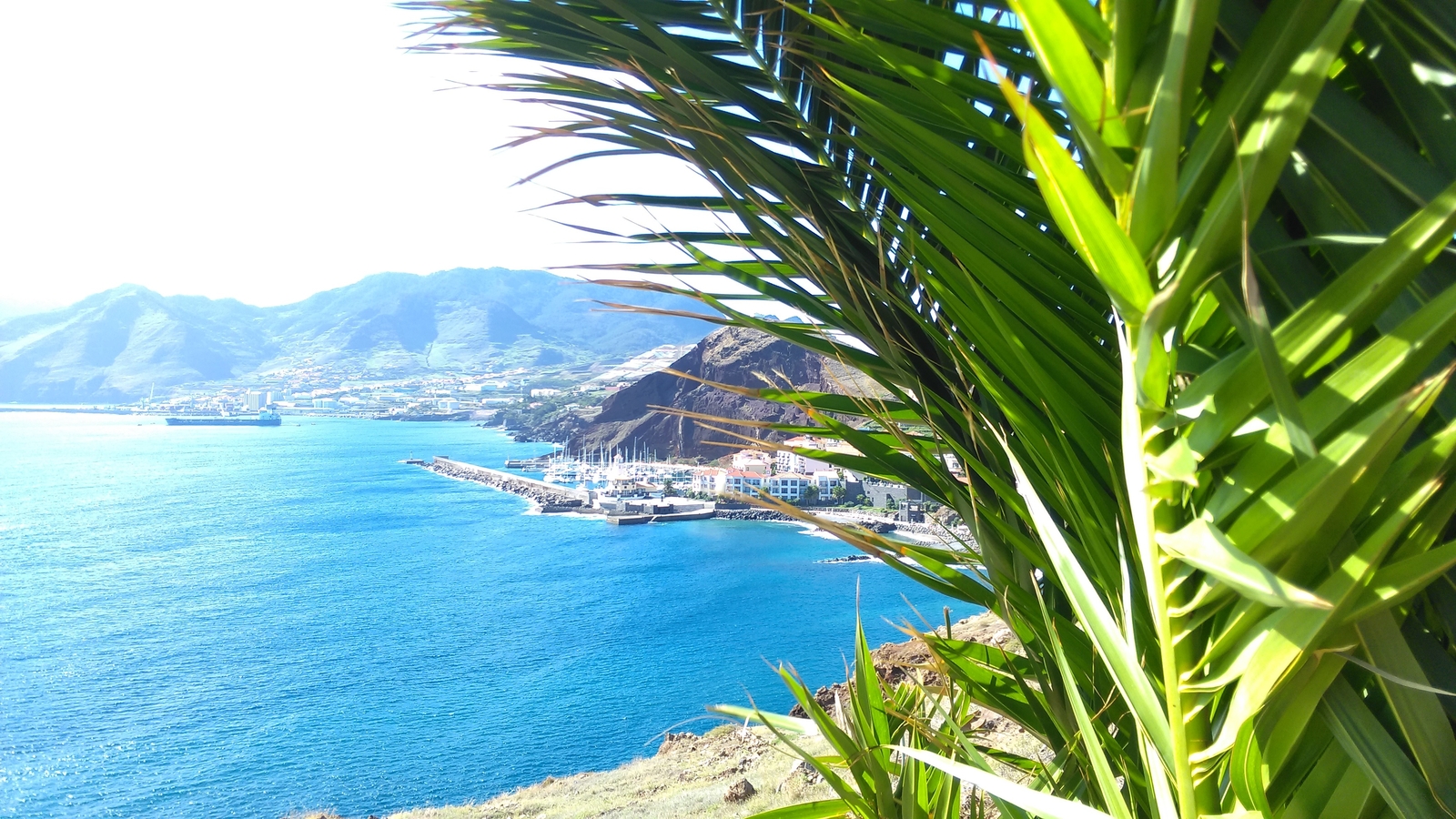Landscape madeira palm trees sea city coast mountains Custom Gaming Mat Desk