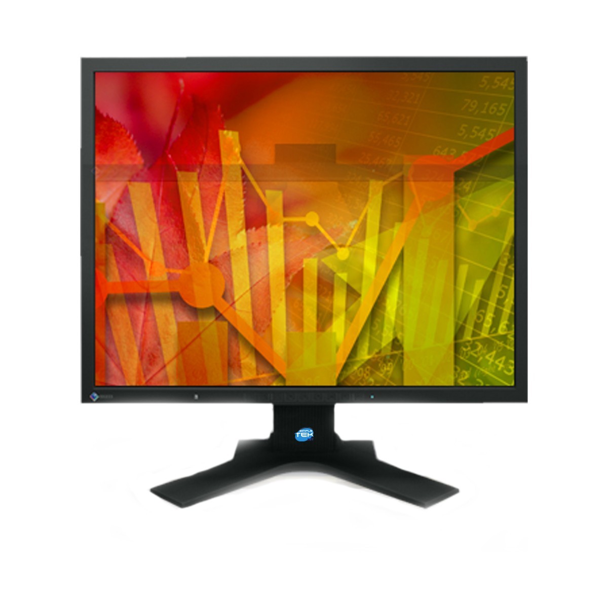 Eizo Flexscan S2000 Monitor 20" Square 4:3 Dvi Vga Professional Dvr Case PC_