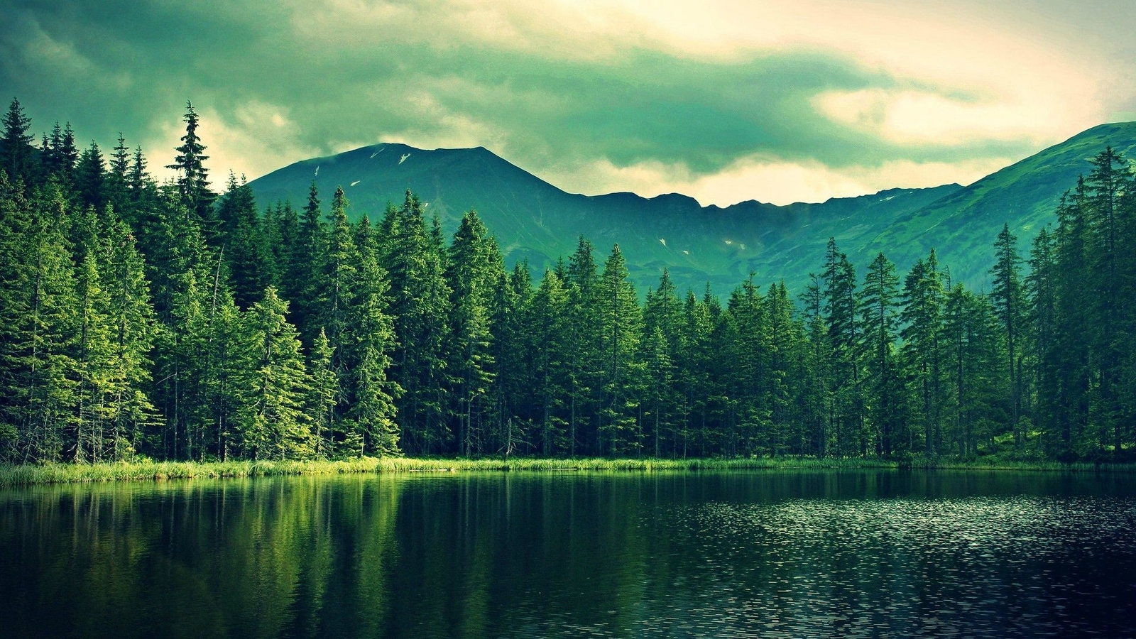Landscape forest lake mountains nature smerczynski pond Custom Gaming Mat Desk