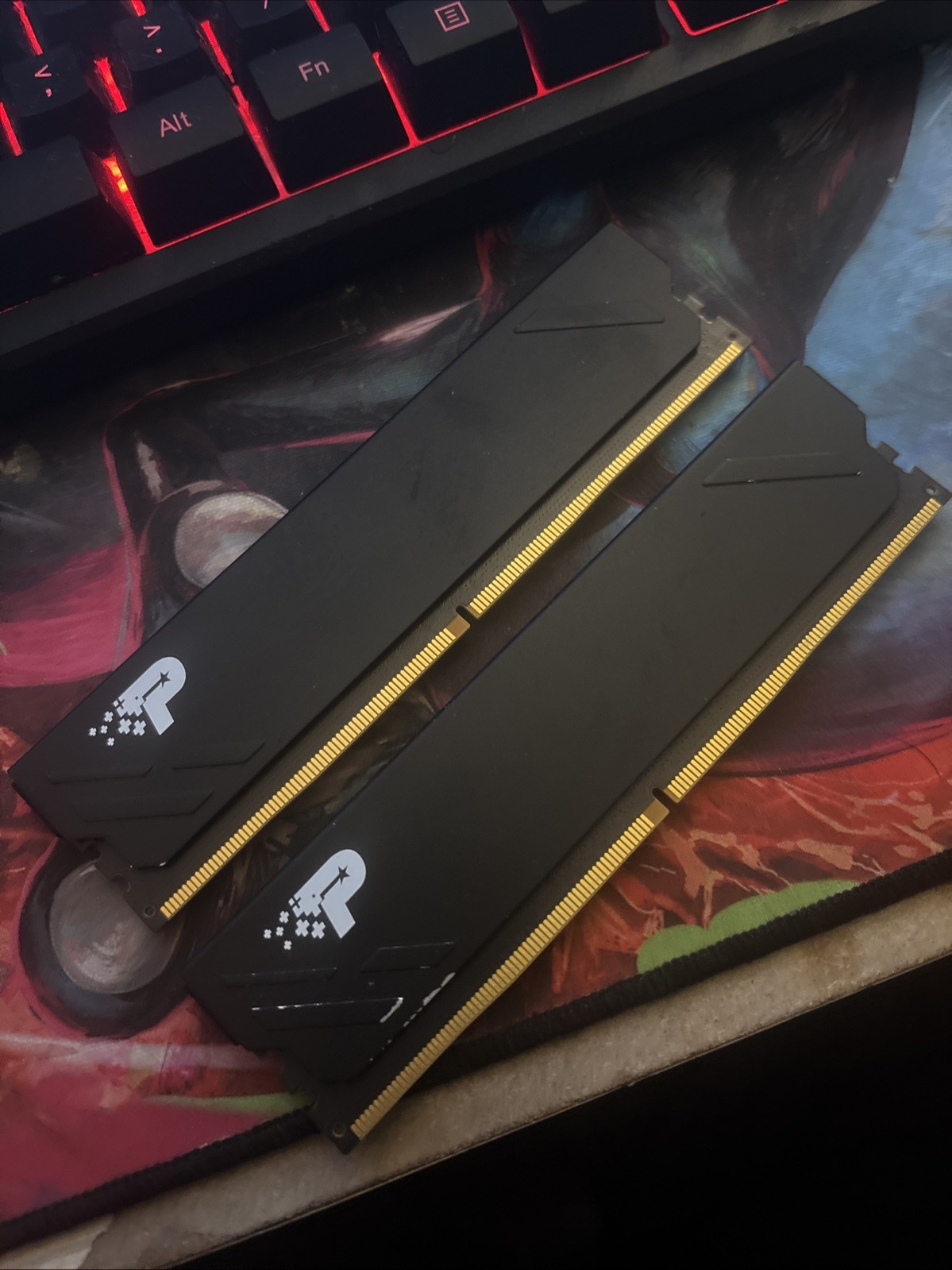Patriot Premium 24GB (2x12GB) DDR5 6000MHz