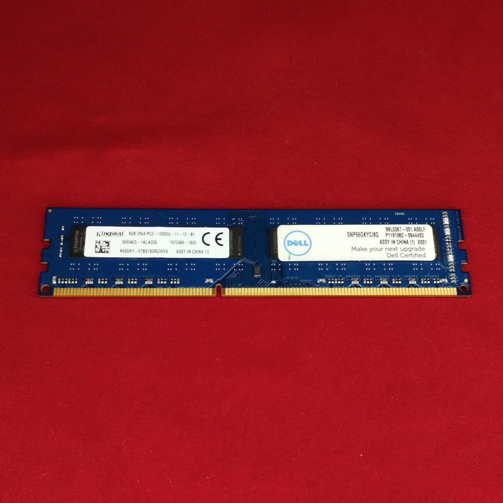 1x Kingston 8GB RAM Stick - 2RX8 PC3 12800U DDR3  K66GKY - Dell Desktop Memory