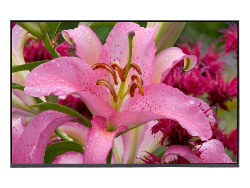 NE160QDM-NY3 B160QAN02.Q MNG007DA1-6 165Hz for Asus ROG Zephyrus M16 GU603H