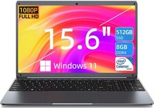 SGIN 15.6