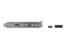 Delock USB 3.1 Slotboard with 1 x Type-C and 1 Typ-A Port Cable 89934 picture