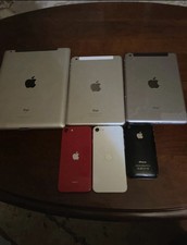 Apple lot picture