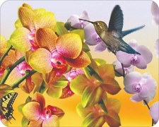 Wild Flowers Floral Art Colorful  Art Mousepad 7 x 9 Art mouse pad picture