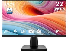 MSI 22 inch (21.45
