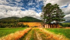 Landscape nature r trees new zealand sky Custom Gaming Mat Desk picture