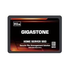 Gigastone 【NAS Certified】 512GB Home 512GB, Server SSD 1-Pack picture