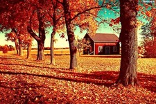 Landscape village trees fall red leaves house rural Custom Gaming Mat Desk picture