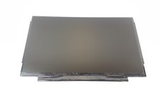 AU Optronics 11.6