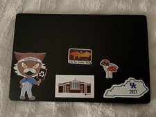 Dell Laptop Latitude 13.3in picture