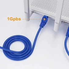 RJ45 Cat (Blue) picture