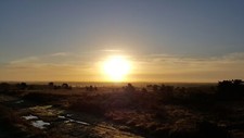 Landscape sun morning sunlight nature Custom Gaming Mat Desk picture