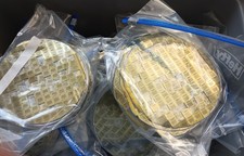Lot of over 800 Incomplete 6 inch Silicon Wafer Discs   collectible art's craft picture