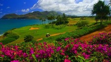 Landscape nature water trees sea hawaii golf course Custom Gaming Mat Desk picture