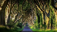 Landscape nature far view trees plants grass fence Custom Gaming Mat Desk picture