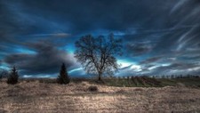 Landscape r trees vineyard outdoors sky Custom Gaming Mat Desk picture