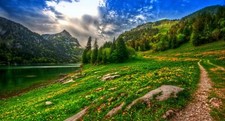 Landscape nature lake mountains forest wildflowers Custom Gaming Mat Desk picture