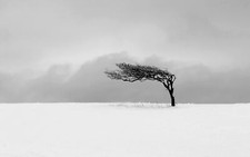 Landscape nature trees winter snow monochrome minimalism Custom Gaming Mat Desk picture