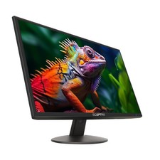 Sceptre E248W-19203R 24