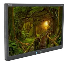NEC AccuSync AS221WM 22