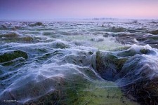Landscape nature clear sky hungary spiderwebs field Custom Gaming Mat Desk picture