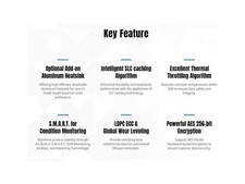KLEVV K02TBM2SP0-10G CRAS C910G SSD 2TB, M.2 NVMe 2280, PCIe Gen4x4 Solid state picture