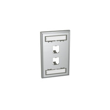 Panduit CFPL2SY Faceplate Stainless Steel 2 Port Single Gang Metallic picture