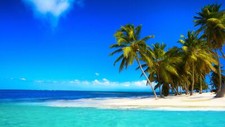 Landscape nature tropical palm trees Custom Gaming Mat Desk picture