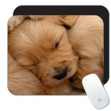 Gift Mousepad : Cocker Spaniel Dog Pet Puppy Animal Sleeping picture
