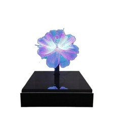 14cm 3D Hologram High Brightness LED Hologram Fan Advertising Display Projector picture