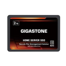 Gigastone 【NAS Certified】 2TB Home Server SSD 2TB, 1-Pack picture