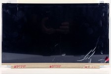 AU Optronics 17.3