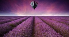 Landscape hot air balloons field lavender purple flowers Custom Gaming Mat Desk picture