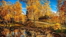 Landscape nature cottage fall pond cabin fallen leaves Custom Gaming Mat Desk picture