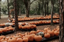 Landscape halloween pumpkin Custom Gaming Mat Desk picture