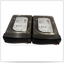 Lot of 2 SEAGATE ST4000NM0025 4TB 12Gbps 7.2K RPM SAS 3.5