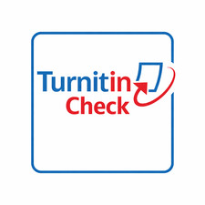 Turnitin® Technology – Fast Private Report- Similarity &AI Writing Check Service picture