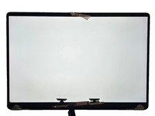 Bad camera GENUINE OEM MacBook Pro 16