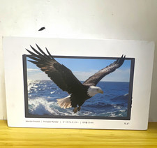 15.6in FHD IPS Portable Monitor, USB-C/Mini HDMI, VESA, Ultra Slim, Black picture