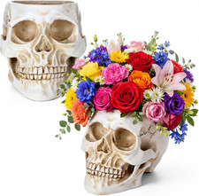 2 Pack Halloween Skull Planter, Antique White, Minimalist picture