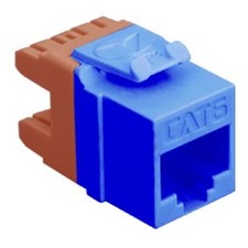 Module cat 6 hd blue picture