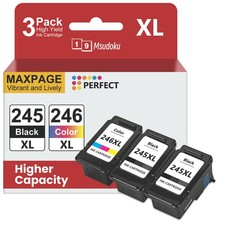 Ink Cartridges 245 246XL for Canon Pixma TS202 TS3100 TR4500 MX490 MG2920 picture