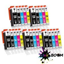 25 Ink Cartridge for PGI-250 CLI-251 PIXMA MG5520 MG5522 MG6420 MG6620 picture