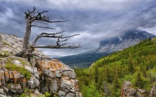 Landscape cliff forest clouds overcast trees dead nature Custom Gaming Mat Desk picture