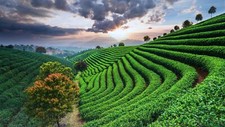 Landscape nature trees field farm clouds sky mountains Custom Gaming Mat Desk picture