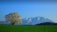 Landscape grass nature clear sky mountains trees field Custom Gaming Mat Desk picture