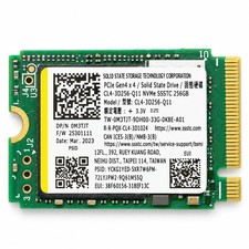 Liteon CL4-3D256-Q11 256 GB PCIe Gen4 30mm Solid State Drive picture