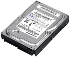 HARD DRIVE IBM 45K0408 HD254GJ 250GB 7.2K 8MB SATA II 3.5''  picture